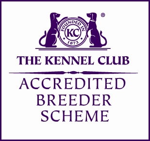 KennelClub_-ABS__LOGO